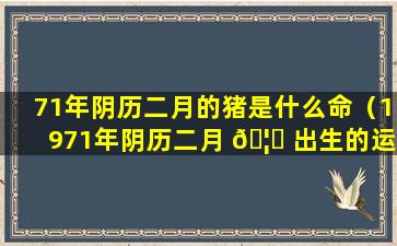 71年阴历二月的猪是什么命（1971年阴历二月 🦍 出生的运势）